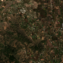 Colchagua Wine Valley