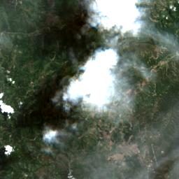 Cajamarca Coffee (Jaen)