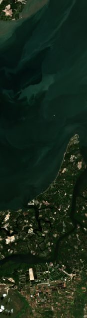 El Oro Banana Belt (Machala)