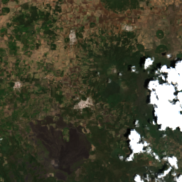 Michoacan Avocado (Uruapan)