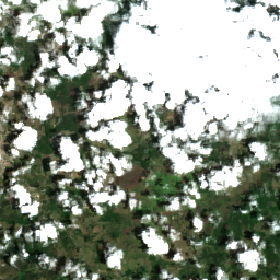 Cuba Sugar (Camaguey)