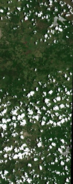 Cuba Sugar (Camaguey)