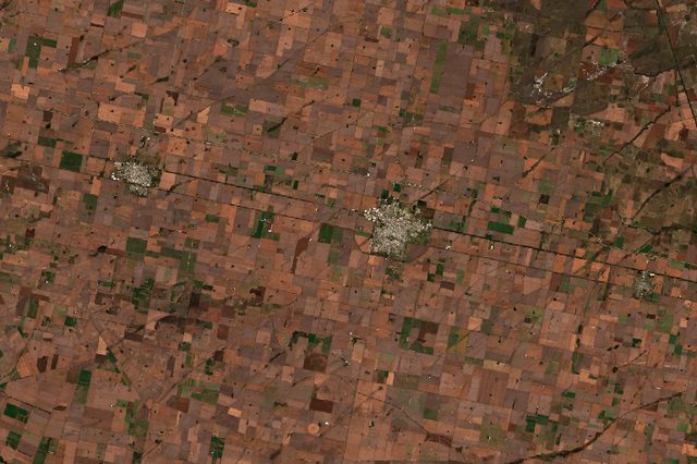 Pampas Soy (Marcos Juarez)
