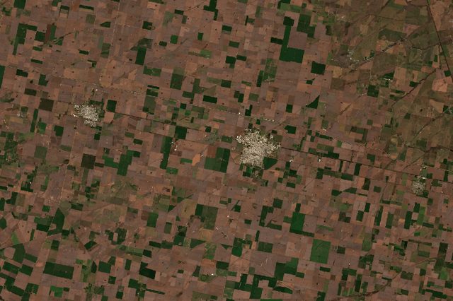 Pampas Soy (Marcos Juarez)