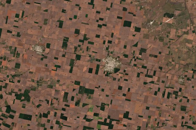 Pampas Soy (Marcos Juarez)