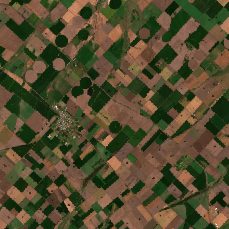 Pampas Wheat-Corn (Pergamino)