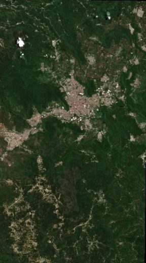 Veracruz Sugarcane (Cordoba)
