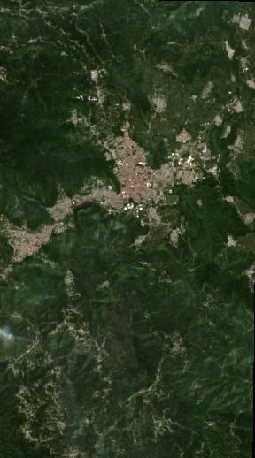 Veracruz Sugarcane (Cordoba)