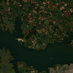 Yerba Mate (Misiones / Posadas)