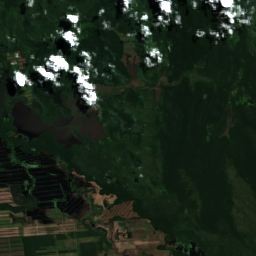 Santa Cruz Soy (Bolivian Oriente)