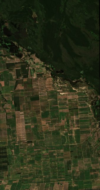 Santa Cruz Soy (Bolivian Oriente)