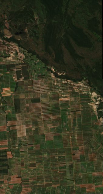 Santa Cruz Soy (Bolivian Oriente)
