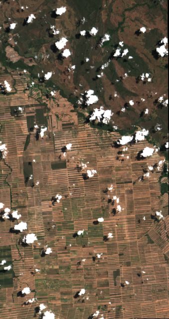 Santa Cruz Soy (Bolivian Oriente)