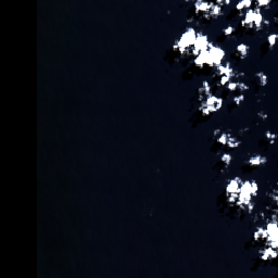 Bahia Cocoa (Ilheus)