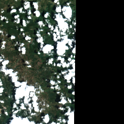 Honduras Coffee (Copan)