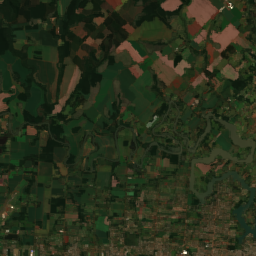 Paraguay Soy (Ciudad del Este)