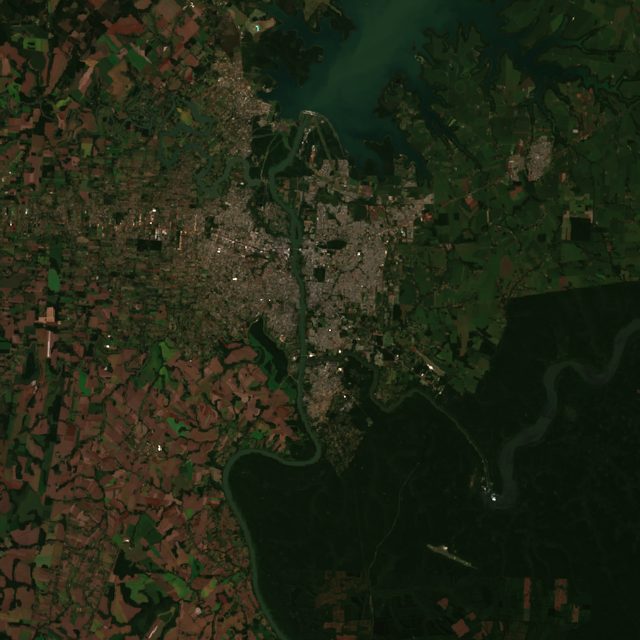 Paraguay Soy (Ciudad del Este)