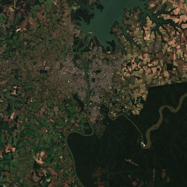 Paraguay Soy (Ciudad del Este)