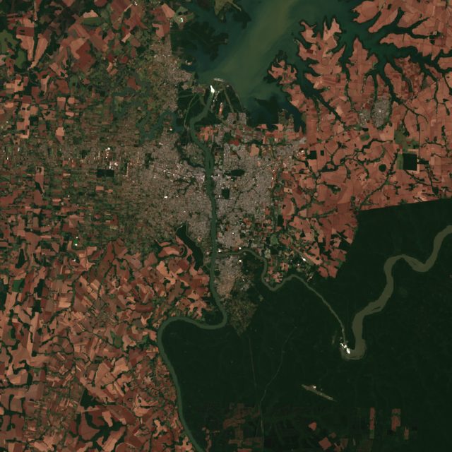 Paraguay Soy (Ciudad del Este)