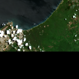 Manabi Cocoa (Portoviejo)