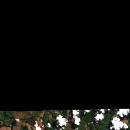 Minas Gerais Coffee (Patrocinio)